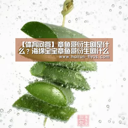 健身互动