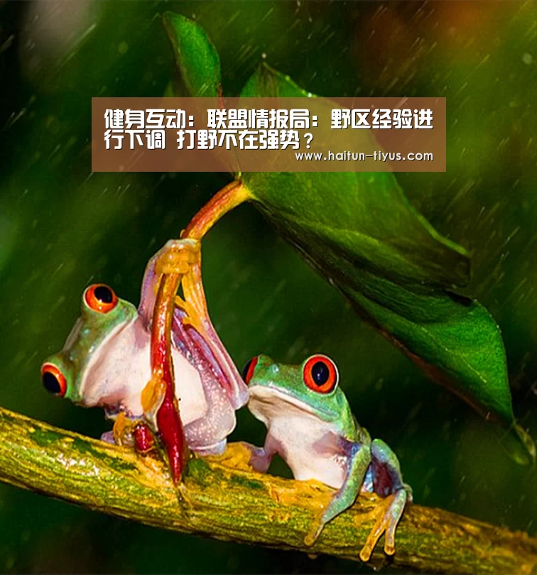 健身互动:联盟情报局:野区经验进行下调 打野不在强势?(图2) 海豚体育