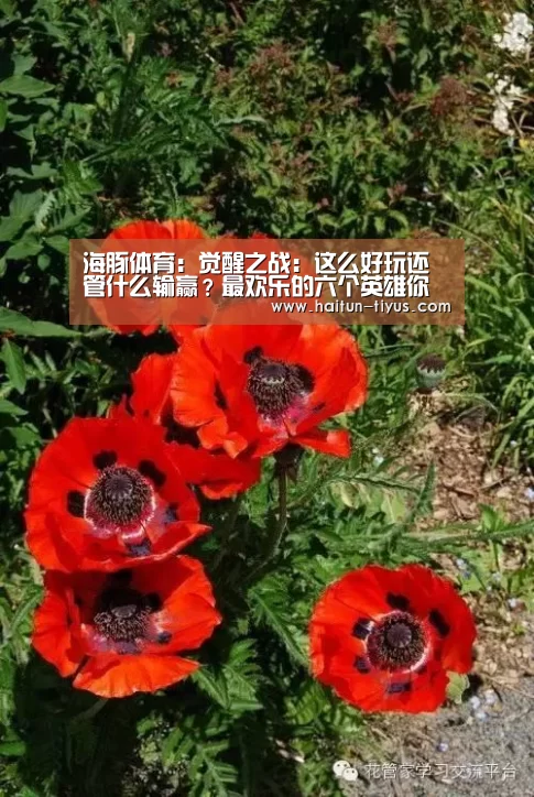 智能体育