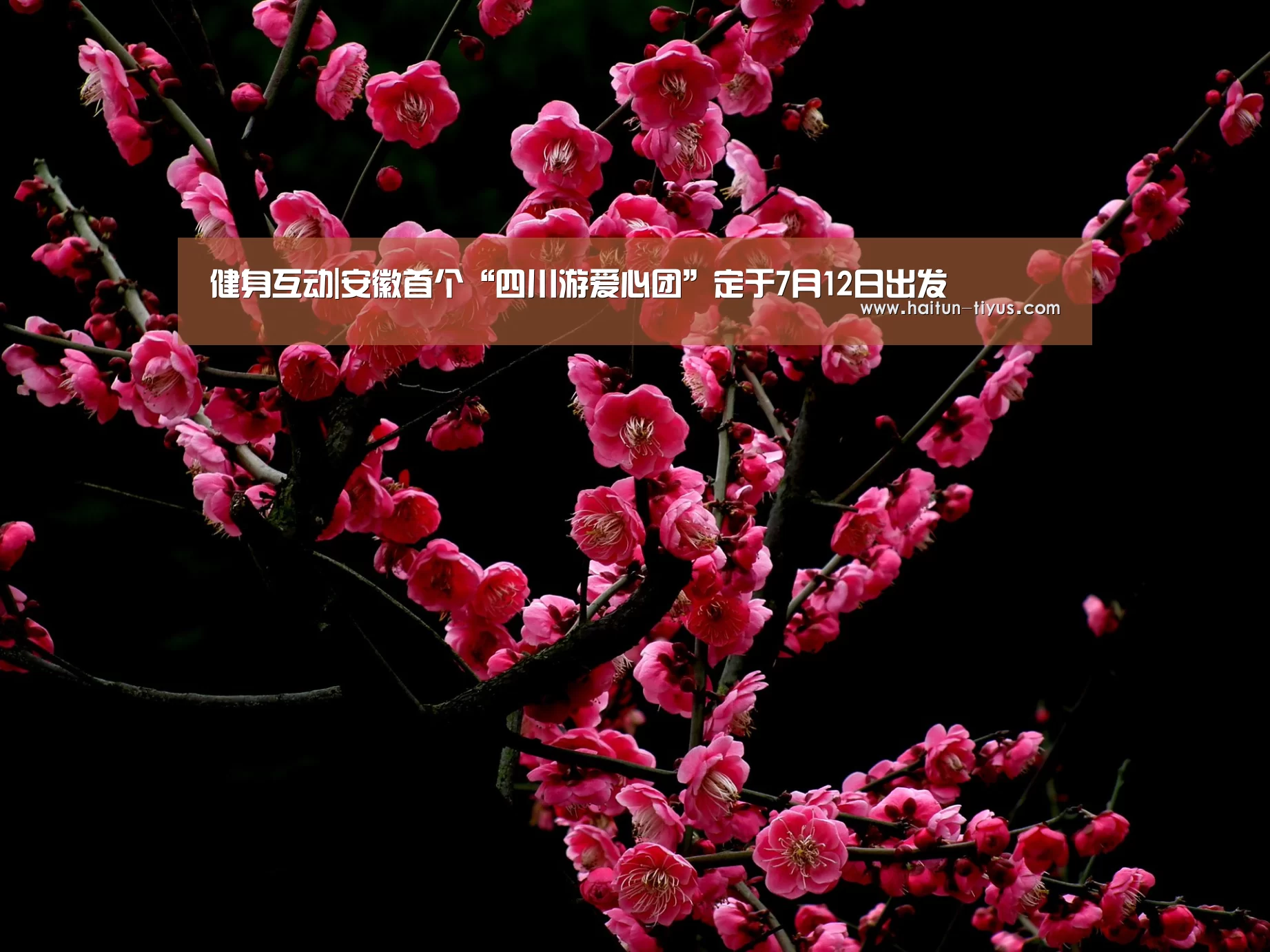 健身互动|安徽首个“四川游爱心团”定于7月12日出发(图2) 智能体育