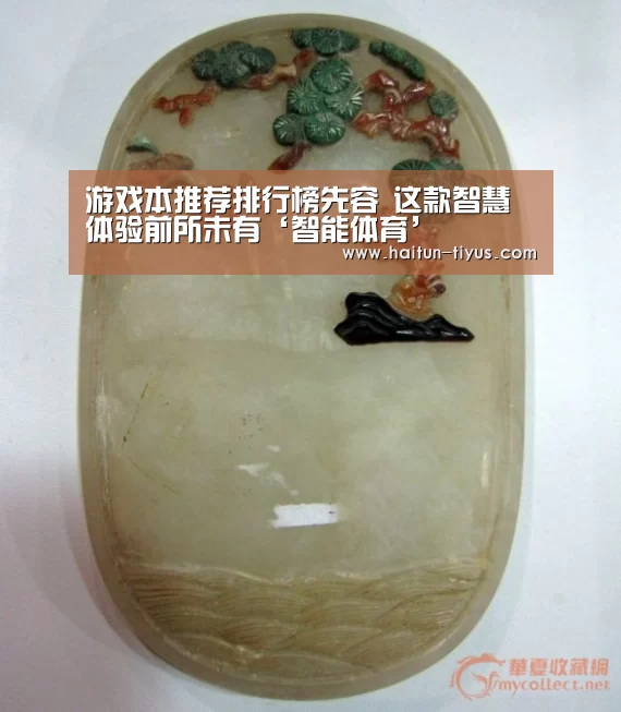 游戏本推荐排行榜先容 这款智慧体验前所未有‘智能体育’(图1) 运动平台