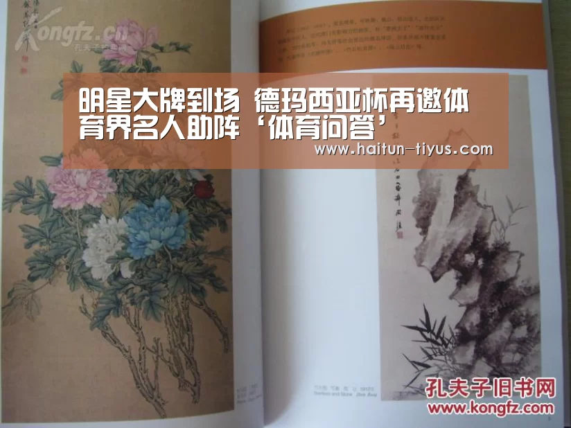 明星大牌到场 德玛西亚杯再邀体育界名人助阵‘体育问答’(图4) 运动平台