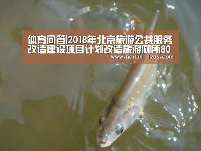 体育问答|2018年北京旅游公共服务改造建设项目计划改造旅游厕所80座(图1) 海豚体育