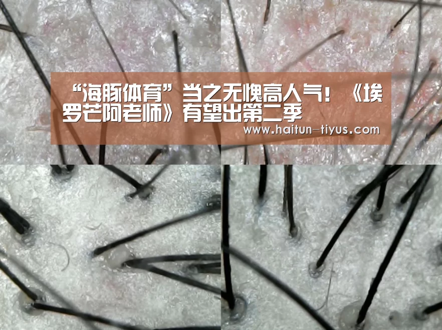 体育赛事