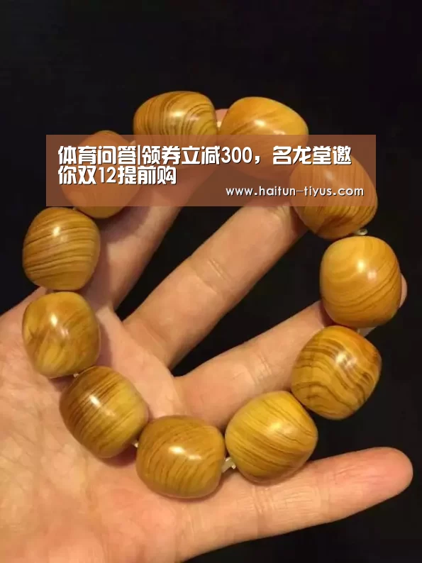 海豚体育