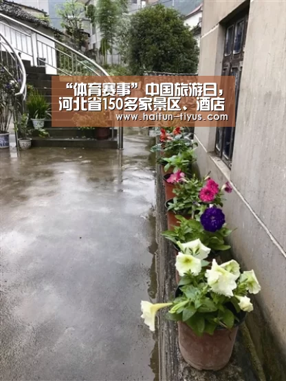 运动平台